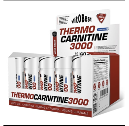 VITOBEST THERMOCARNITINE 3000 - ACID FRUIT 20 viales