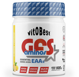 VITOBEST AMINOACIDOS GFS 500g - LIMON