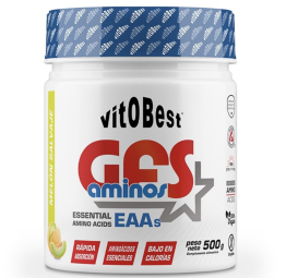 VITOBEST AMINOACIDOS GFS 500g - MELON