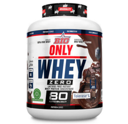 BIG ONLY WHEY - Choco Belga